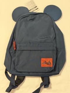 Disney Resort Backpack