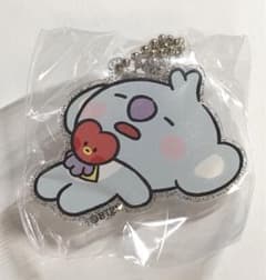 BT21 패널 가챠 아크릴 매력 KOYA (코야)