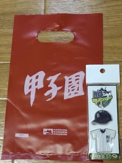センバツ高校野球ピンバッチ別海高校　
　北海道・別海高校のピンバッジセットです。のサムネイル
