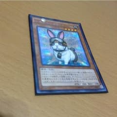レスキューラビット シクのサムネイル