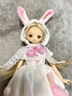 ボークス　1/6 ドルフィープラス　Reiwa 02のサムネイル