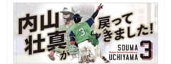 【新品未開封】東京ヤクルトスワローズ 内山壮真が戻ってきました フェイスタオルのサムネイル
