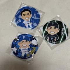 北海道日本ハムファイターズ 田中正義 缶バッジ 2点セットのサムネイル