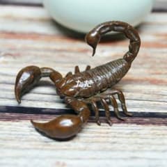 銅 細工 サソリ横財 茶道茶寵 盆栽造景 装飾品 工芸品 置物 銅 細工 サソリ横財 茶道茶寵 盆栽造景 装飾品 工芸品 置物 - メルカリ