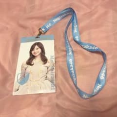 乃木坂46 チケットホルダー　白石麻衣のサムネイル