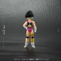 ドラゴンボールアライズ 大猿バーダック ZEEM 限定特典 セリパ