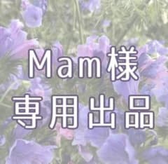 Mam様専用出品のサムネイル