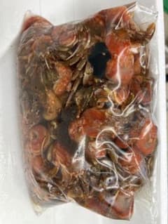 釣り餌冷凍ヤドカリのサムネイル
