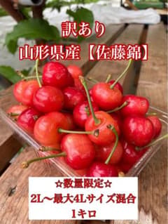 期間限定、数量限定！訳あり山形県産さくらんぼ【佐藤錦】のサムネイル
