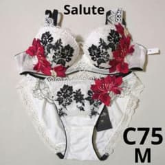 ワコール サルートSalute ブラジャー&ショーツセット C75 Mサイズ