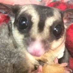 ＊milk＊様専用のサムネイル