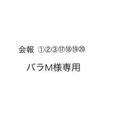 バラM様専用のサムネイル