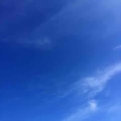 アリス様のサムネイル
