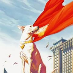 KAZU様専用のサムネイル