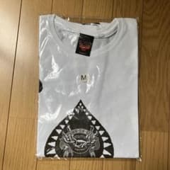 ラルクアンシエル2007〜2008ツアーのサムネイル