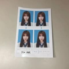 向井怜衣 seju 証明写真のサムネイル