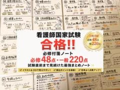 【看護師国家試験対策！！必修付箋まとめノート】のサムネイル
