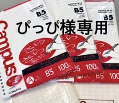 ぴっぴ様専用ルーズリーフのサムネイル