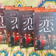 たったひとつの恋　DVD　全巻セットのサムネイル