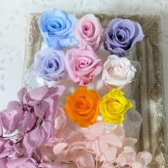 ハーバリウム花材⑨◆【訳あり花材〈プリザーブドフラワー〉】 ハーバリウム花材⑩◇【訳あり花材〈プリザーブドフラワー〉】 - メルカリ