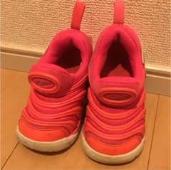 NIKE ナイキ ダイナモフリー 13のサムネイル