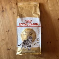 ROYAL CANIN アメリカンショートヘアー 2kgのサムネイル