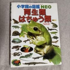 小学館の図鑑NEO 両生類・はちゅう類のサムネイル