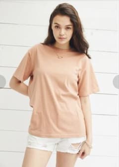 美品 ALEXIA STAM ピンクベージュTシャツのサムネイル