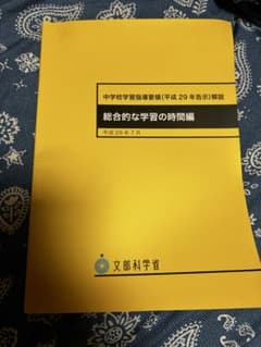 中学校学習指導要領解説 総合的な学習の時間編のサムネイル