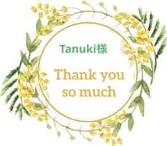 Tanuki様＊おまとめページです＊ご確認をお願いいたします(* ᴗ͈ˬᴗ͈)”のサムネイル