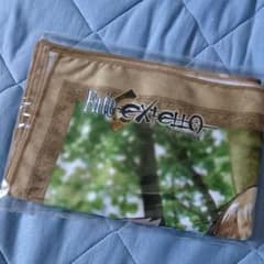 Fate/EXTELLA 店舗別特典 アニメイト 描き下ろしB2ビッグタオルのサムネイル