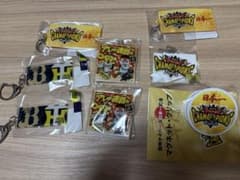 阪神タイガース 2023 日本一 アクリルキーホルダー マグネット セット売り 阪神タイガース 2023 日本一 アクリルキーホルダー マグネット セット