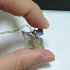 本物の蝶の羽 ネックレスのサムネイル