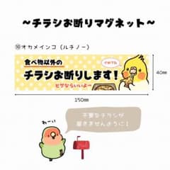 チラシお断りマグネット(オカメインコルチノー)のサムネイル