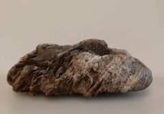 貴船糸掛石 賎原 糸掛石 希少石 水石 鑑賞石 - メルカリ