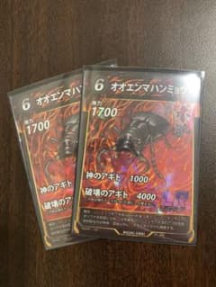 オオエンマハンミョウ　2枚セットのサムネイル