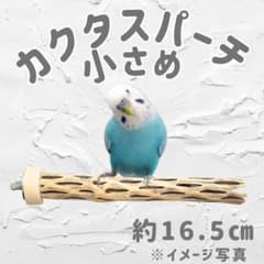 鳥用品 止まり木 カクタス スケルトン パーチ 小さめ No.662 - メルカリ
