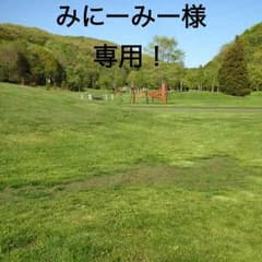 みにーみー様専用のサムネイル