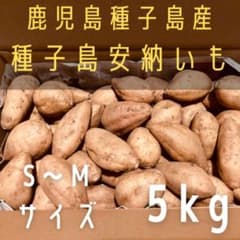 種子島から農家直送！ G1登録種子島産安納いも(こがね)  5kg S〜M混合のサムネイル
