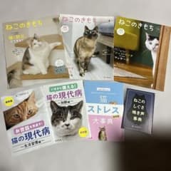 ねこのきもち 2026 3月　4月　5月　別冊ふろく　付き　ベネッセ - 2