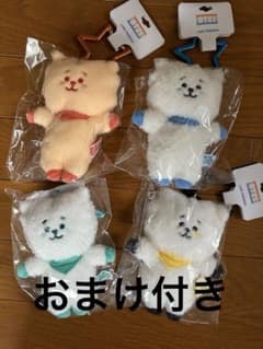 BT21 5주년 레인보우 컬러 마스코트 RJ
