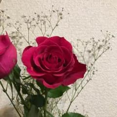 えみりんご様専用のサムネイル