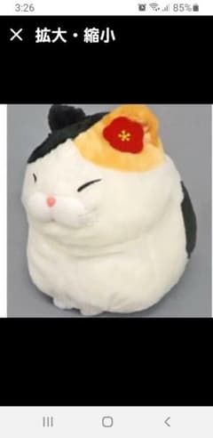 ひげまんじゅうBIG　みーさまぬいぐるみ‼️のサムネイル