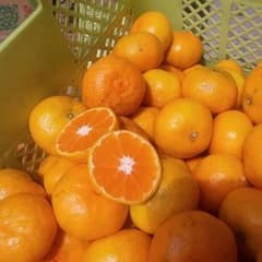 ②♥完熟みかん５キロ マルチ栽培のサムネイル