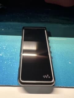 SONY NW-ZX507 シルバーのサムネイル