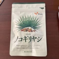 やわた　ノコギリヤシのサムネイル