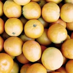 とも様専用のサムネイル