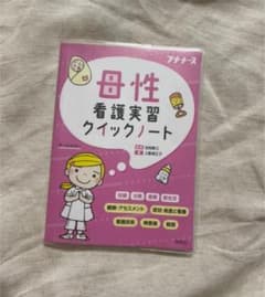 母性看護実習クイックノートのサムネイル