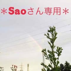 ＊Saoさん専用＊のサムネイル