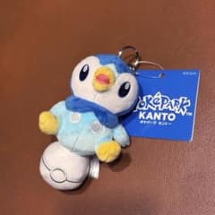 ポケパーク カントー限定デザインポッチャマのサムネイル